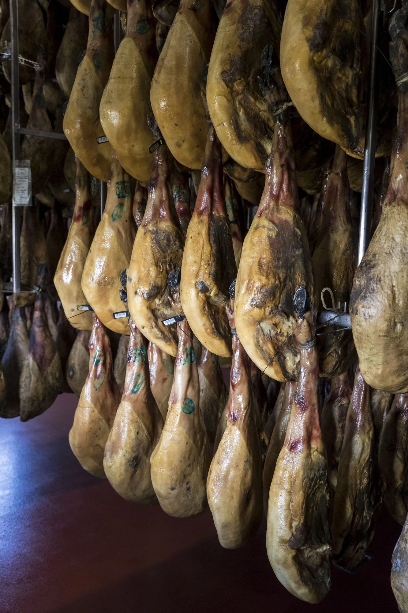 La cave d'affinage de Juan Pedro Domecq à Huelva