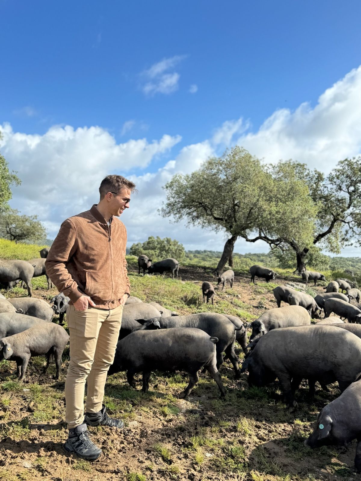Thomas, de LA DULA, de pie en medio de la piara de cerdos ibéricos