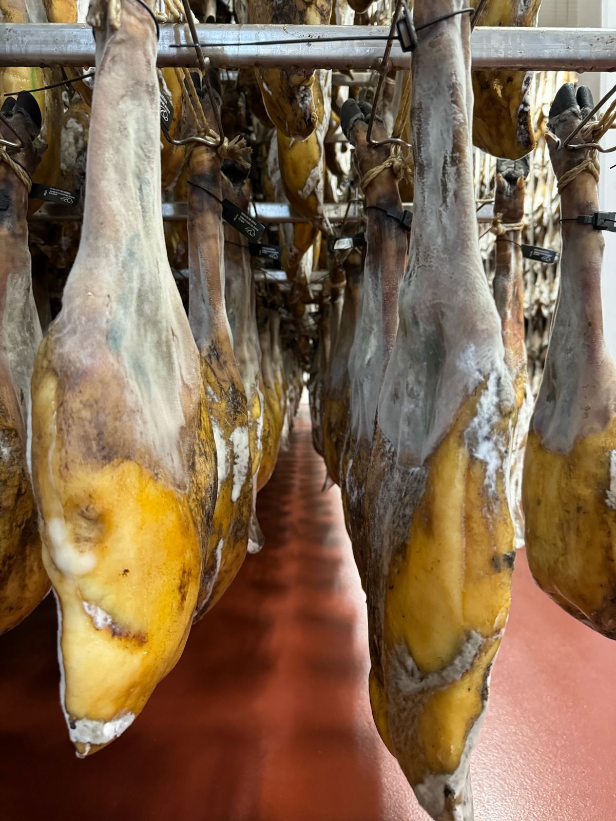 Jamones colgados en un secadero
