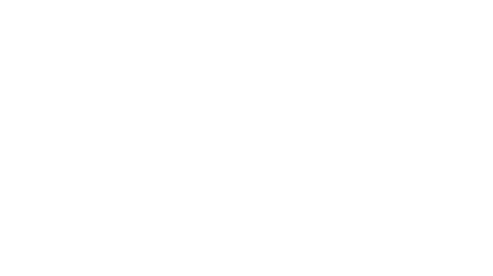 Porc étiquette blanche — Ibérico de Cebo
